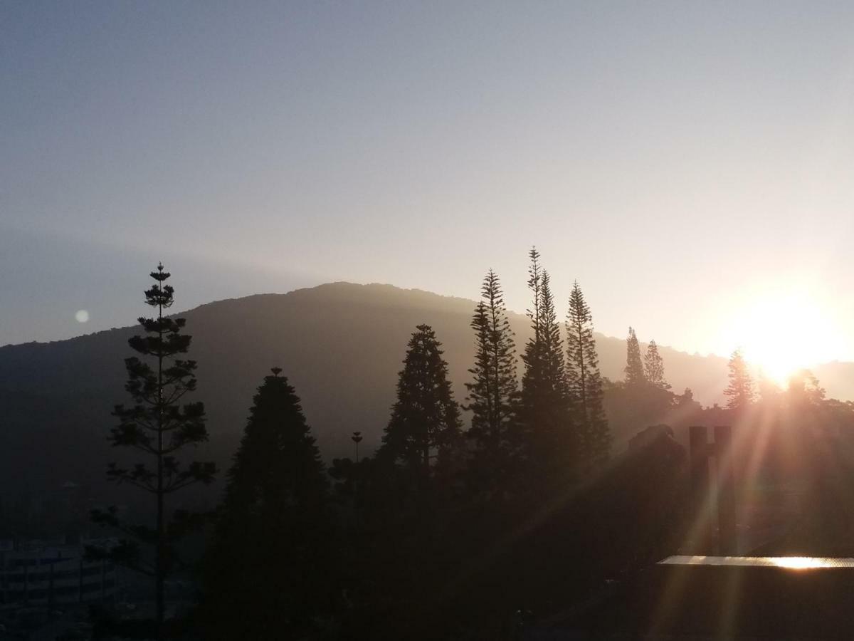 Themework Homestay@cameron Highlands Apartment